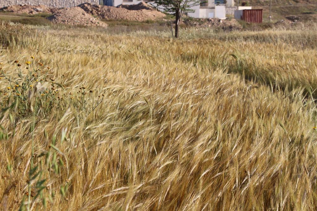 Desertb Διαμέρισμα Giv'ot Bar Εξωτερικό φωτογραφία